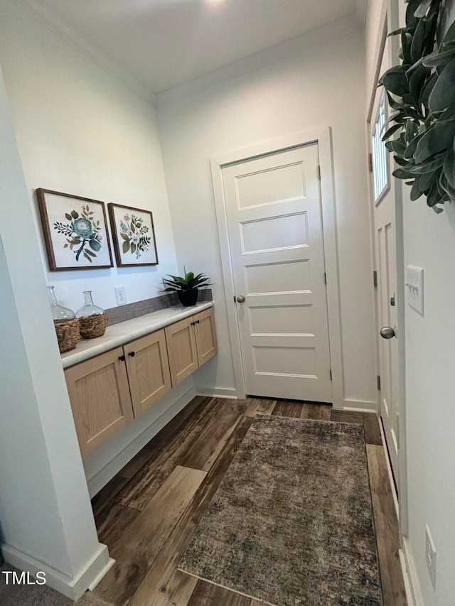 entryway featuring dark hardwood / wood-style floors and crown molding