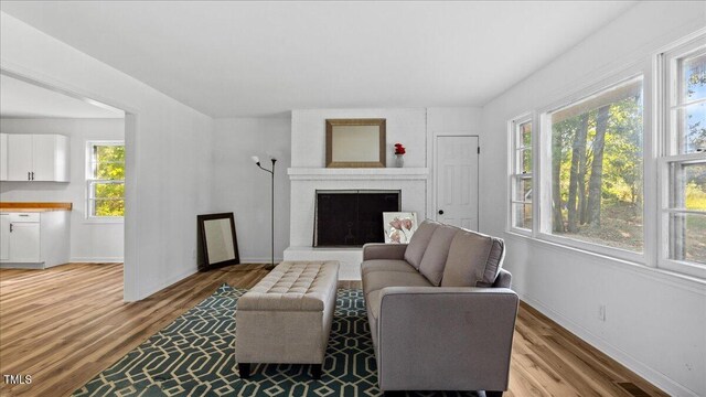 living room featuring a brick fireplace, light hardwood / wood-style floors, and a healthy amount of sunlight