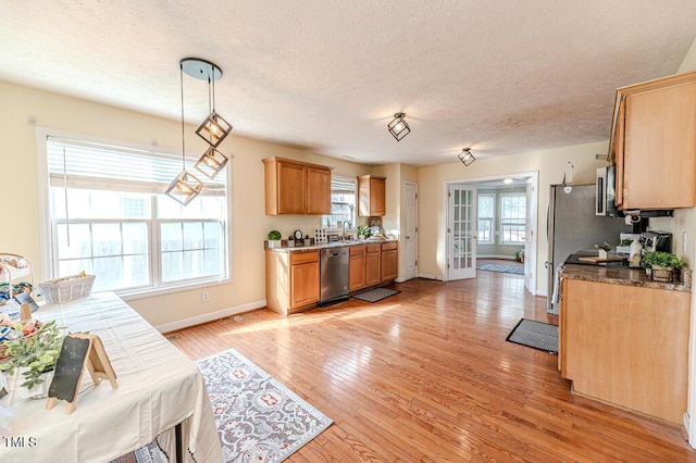 kitchen with a wealth of natural light, light wood-type flooring, stainless steel appliances, and hanging light fixtures