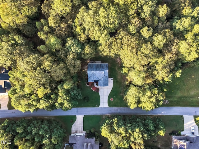 319 River Knoll Dr, Clayton, NC 27527 - bird's eye view