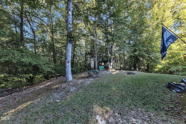319 River Knoll Dr, Clayton, NC 27527 - view of yard featuring an outdoor structure and a shed