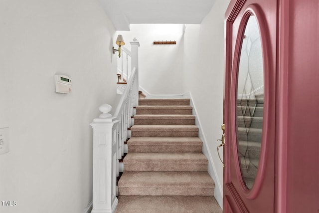 stairway featuring carpet floors