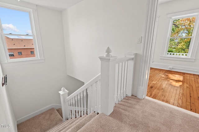 stairs with wood-type flooring