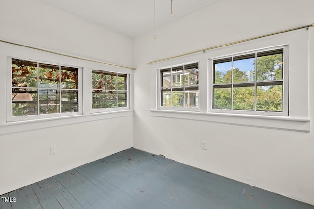 unfurnished room featuring wood-type flooring and plenty of natural light