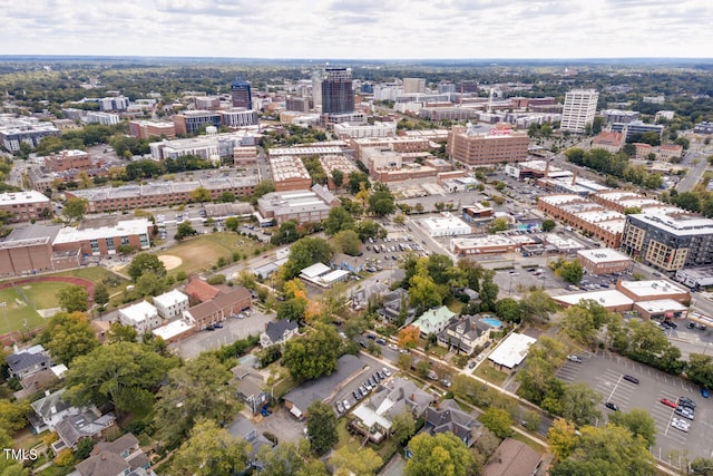 bird's eye view