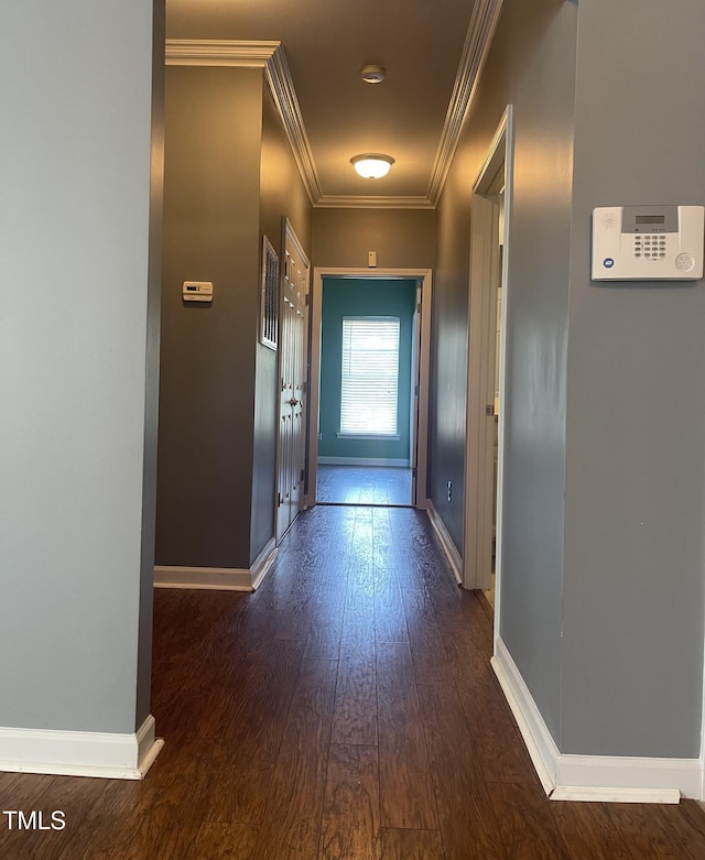 hall featuring ornamental molding and dark hardwood / wood-style floors