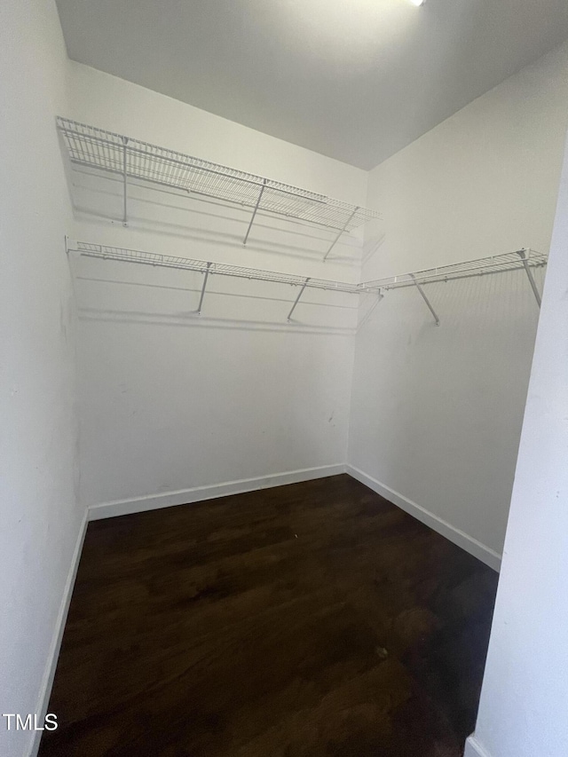 walk in closet featuring dark hardwood / wood-style flooring