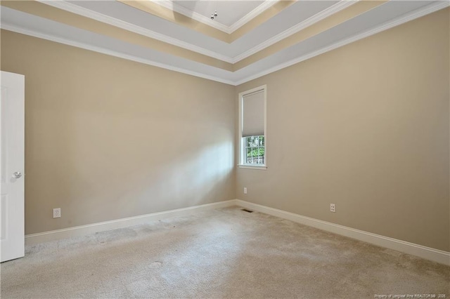 carpeted empty room with ornamental molding and a raised ceiling