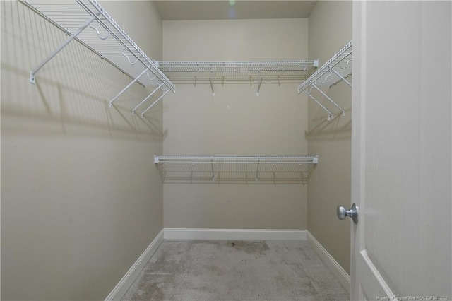 spacious closet featuring light carpet