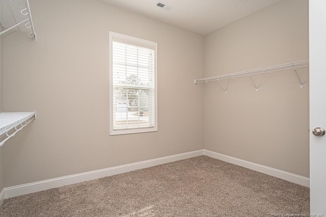 5737 Pooh Ave, Stedman, NC 28391 - spacious closet with carpet flooring