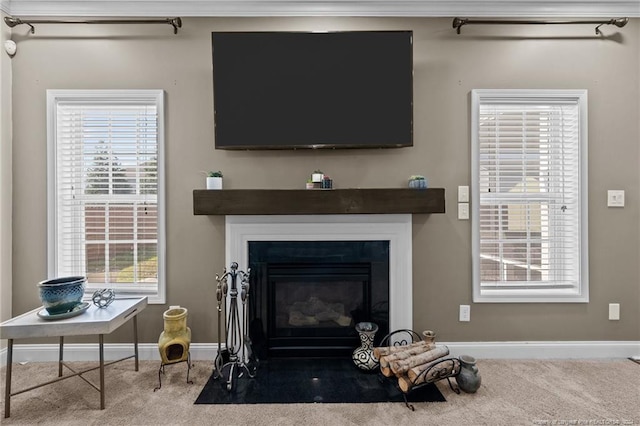 carpeted living room with plenty of natural light