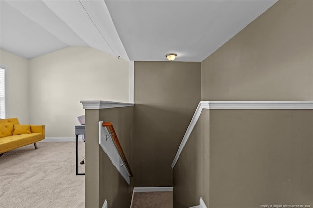 stairway featuring lofted ceiling and carpet