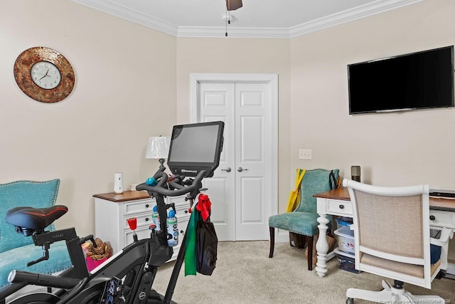 office featuring ceiling fan, ornamental molding, and light carpet