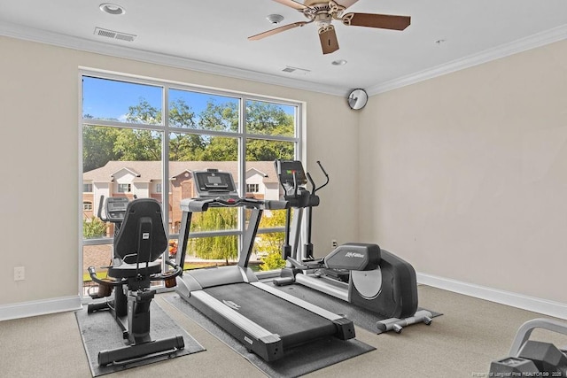 workout room with ceiling fan, ornamental molding, and carpet