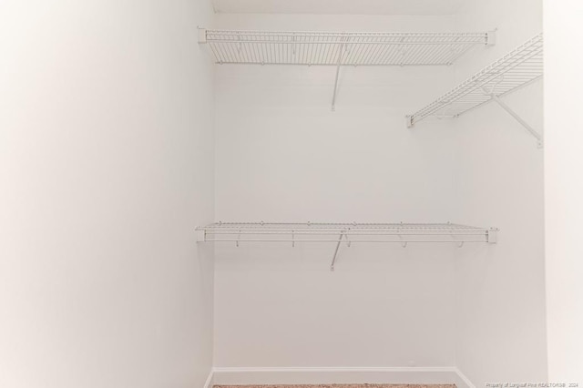3375 Carolina Way, Sanford, NC 27332 - view of walk in closet