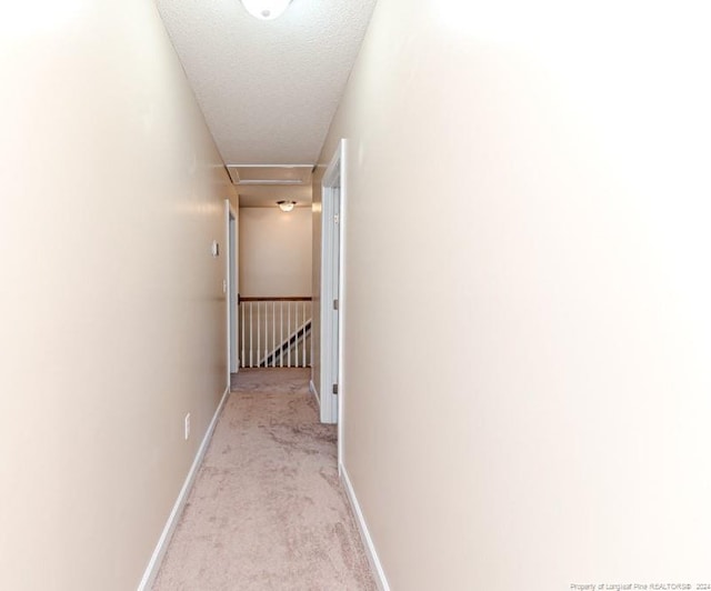 3375 Carolina Way, Sanford, NC 27332 - hallway with light colored carpet and baseboards
