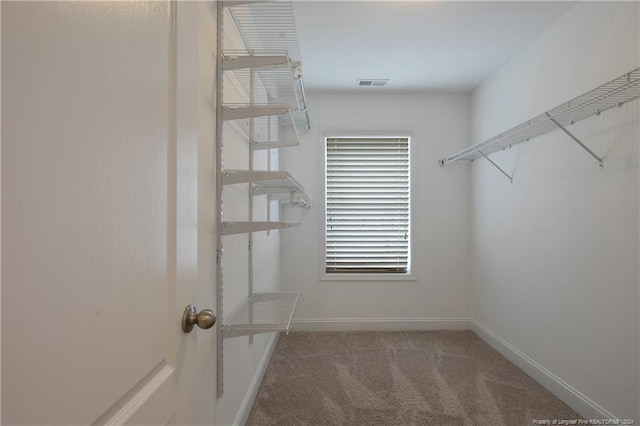 walk in closet with carpet flooring