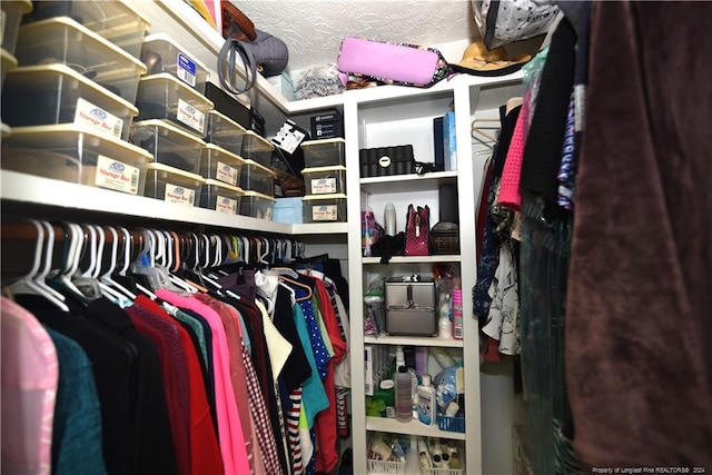 view of spacious closet