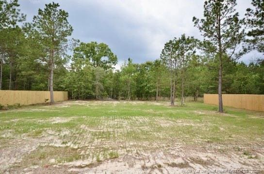 2885 Lemuel Black Rd, Bunnlevel, NC 28323 - photo 39