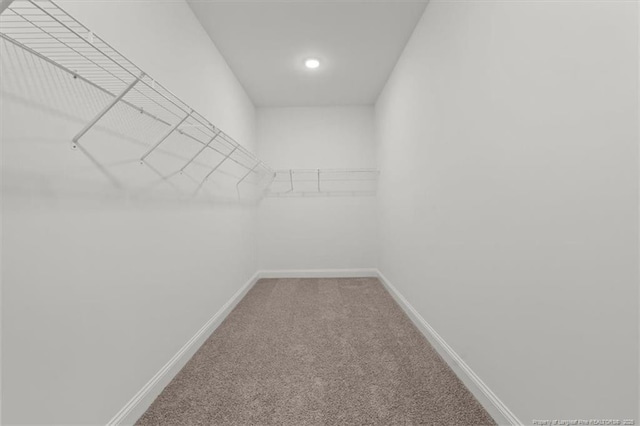 spacious closet with light colored carpet