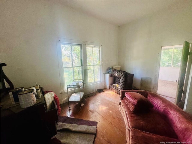 sitting room with hardwood / wood-style flooring