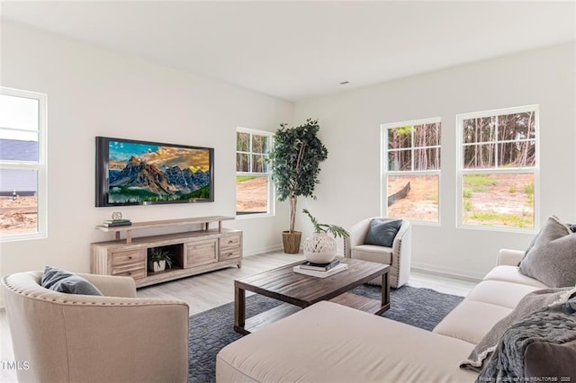 living area featuring baseboards and wood finished floors
