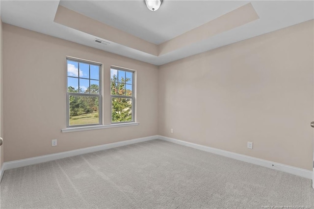 unfurnished room featuring carpet floors and a tray ceiling