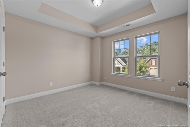 empty room featuring a raised ceiling and light carpet