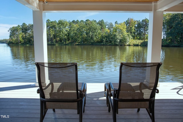 dock area with a water view