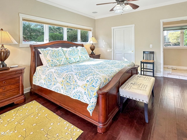 bedroom with crown molding, multiple windows, dark hardwood / wood-style floors, and ceiling fan