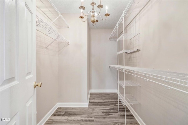 walk in closet with hardwood / wood-style floors and an inviting chandelier