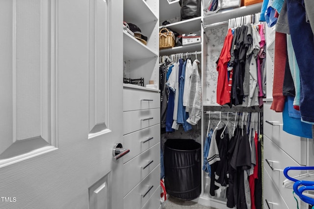 view of spacious closet