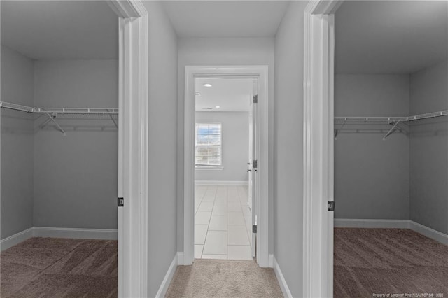 spacious closet featuring carpet flooring