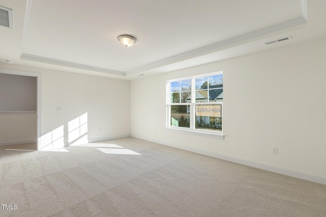 carpeted spare room featuring a tray ceiling