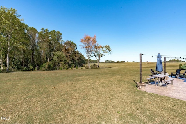 view of yard featuring a patio