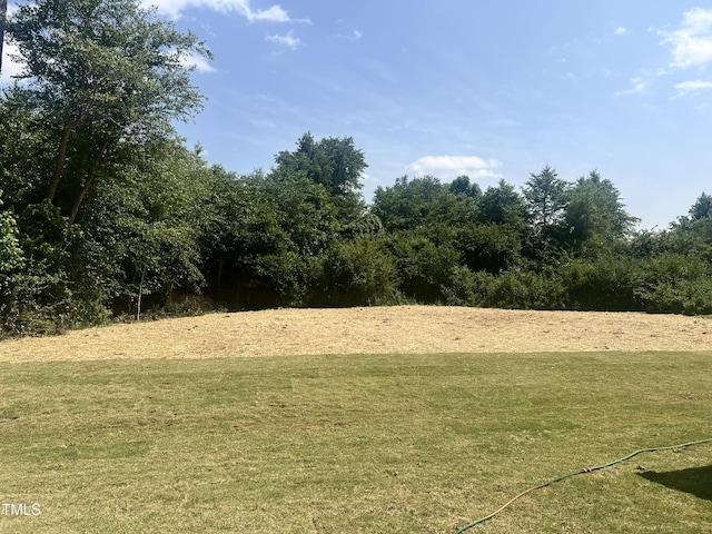63 Lynn Crest Way, Four Oaks, NC 27524 - view of grassy yard
