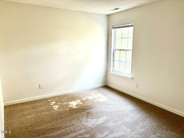 unfurnished room with carpet and a textured ceiling