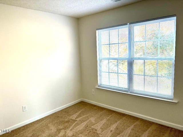 carpeted empty room featuring a textured ceiling