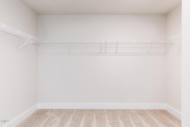 456 Barbour Farm Ln, Four Oaks, NC 27524 - spacious closet with carpet