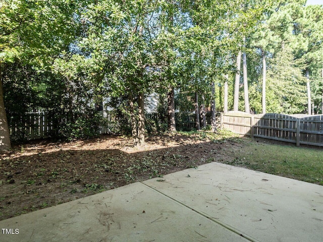 view of yard featuring a patio area