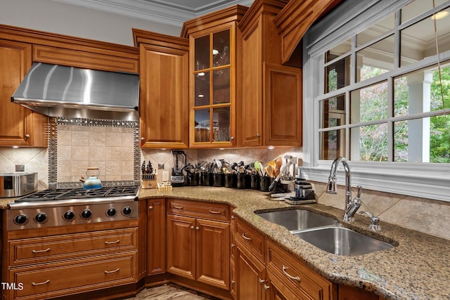 kitchen featuring range hood, stainless steel gas cooktop, tasteful backsplash, and sink