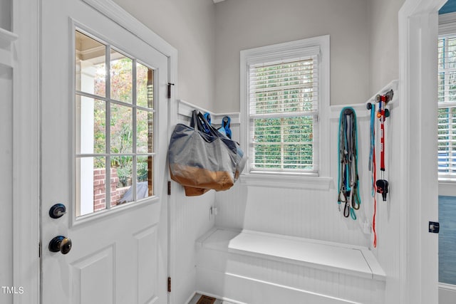 mudroom with a healthy amount of sunlight