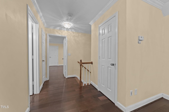 hallway with crown molding and dark hardwood / wood-style floors