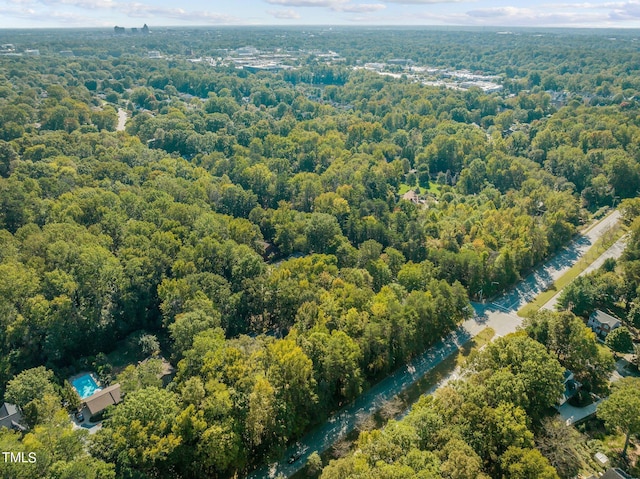 bird's eye view