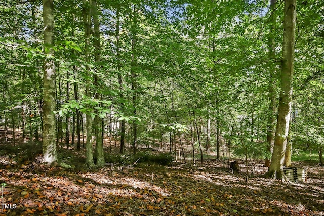 view of local wilderness featuring a forest view