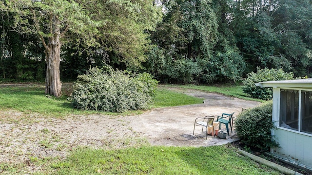 view of yard with a patio area