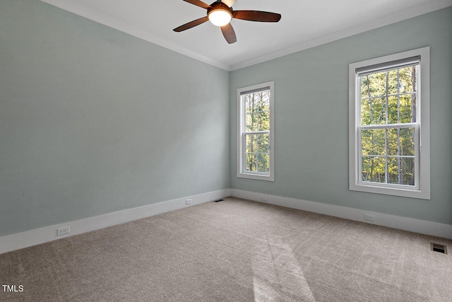 spare room with crown molding, carpet floors, and ceiling fan