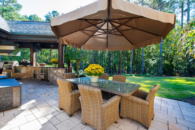 view of patio / terrace with an outdoor kitchen