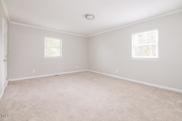 carpeted empty room with crown molding