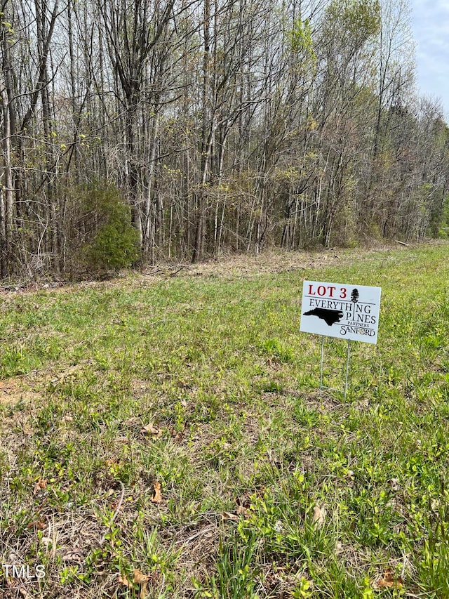 LOT3 Elmer Moore Rd, Siler City NC, 27344 land for sale